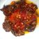 Cooksnap dari Danna untuk resep Dendeng Paru Balado