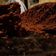 El cooksnap de Leo Ongaro cuando hizo Torta de cocoa.
