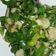 Cooksnap dari Noviia Irawan untuk resep Tumis Daun Kencur