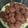 El cooksnap de Laura Fernández cuando hizo Galletas de chocolate.