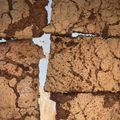El cooksnap de Paula Fabi cuando hizo Brownie🔥 rápido y fácil.