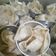 Cooksnap dari Nira Dyara Marris Arief untuk resep Dimsum ayam siomay ayam Untuk jualan