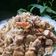 Cooksnap dari @dokterdianna untuk resep Tumis Tahu Tauge Tauco