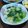 Cooksnap Faizah Mohd Ismail semasa beliau membuat Bening Sawi.