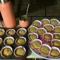 El cooksnap de Leticia cuando hizo Budín de banana y avena.