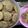 Cooksnap dari Rita Muliasari Bunda Sophie untuk resep Kukis kurma