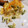 El cooksnap de Anita Arabaolaza cuando hizo Quiche de pavo y esparragos.