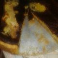 El cooksnap de picho cuando hizo Monumental Torta de manzanas (abuela Hilda)💞.