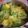 Nabanita Dassarma's cooksnap of when they made ঝিঙে আলু পোস্ত(Jhinge aloo posto recipe in bengali).