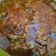 Cooksnap dari nimahchoriyah86 untuk resep Semur Sapi kecap