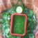 Payal Sachanandani (payal's kitchen)'s cooksnap of when they made ગ્રીન ચટણી (Green Chutney recipe in Gujarati).
