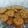 El cooksnap de Estela cuando hizo Galletitas de avena y naranja🍊.