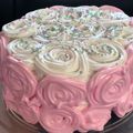 El cooksnap de Andrea Viazzi Moreira cuando hizo Bizcochuelo simple para postres y tortas de cumpleaños.