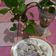Cooksnap dari Melanni Inawati untuk resep Bolu kukus merekah