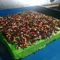 Cooksnap dari endah untuk resep Bolu Kukus Pandan