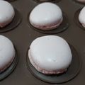 El cooksnap de María Amelia cuando hizo Macaron.