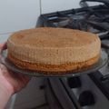 El cooksnap de Ani Rodriguez cuando hizo Bizcochuelo Clásico de Chocolate.