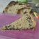 Cooksnap dari Dapoer Malikha untuk resep Blueberry Crumble Pie