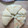 陳郁雯 的 海綿蛋糕 cooksnap