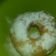 Cooksnap dari Bunda Jasmine untuk resep Donat Ekonomis