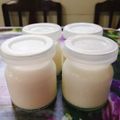 Cooksnap của Phan Bao Van khi họ làm theo món Sữa chua nhà làm
