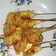 Cooksnap dari Kiki Ayu untuk resep Sate Telur Gulung (Cemilan Mudah Hanya 3 Bahan)