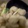 Cooksnap dari Insani Utami untuk resep Kuah Bakso Sapi