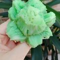 Cooksnap dari dapureci untuk resep Bikang Mawar Anti Gagal