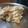 El cooksnap de Viky Vir cuando hizo Torta con harina integral de manzana fácil, rica y sana para diabéticos.