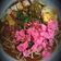 Cooksnap dari Tuti Herawati untuk resep Mie rebus medan