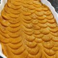 کوک اسنپ royay بعد از امتحان کردن حلوای شیر.