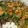 Emily Shawkat's cooksnap of when they made Hamburger tater tot cassarole.