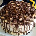 CulinaryKitty's cooksnap of when they made Chocolate Peanut Butter Ice Cream Torte.
