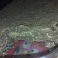 El cooksnap de Cata Crespin cuando hizo Chocotorta "La mejor".