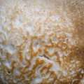 deezer's kitchen's cooksnap of when they made Rice pancake (sinasir).