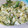 El cooksnap de Dinora Mendez cuando hizo Ensalada de papas y huevos con mayonesa al ajo y limón.