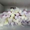 Cooksnap dari Shella Novita untuk resep Es Lilin Pop Ice