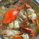 Cooksnap Ain Mohd Kitchen semasa beliau membuat Sup ketam.