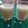 Tejal Hitesh Gandhi's cooksnap of when they made જામફળ મોકટેલ (Guava Mocktail Recipe In Gujarati).