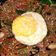 Cooksnap dari nina polke untuk resep Shirataki Japchae, Cocok Untuk Diet. Rendah Kalori, Tinggi Serat