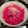 Ettie Eyre's cooksnap of when they made Beetroot dip.