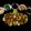 Shital Jataniya's cooksnap of when they made ચેસ્ટનટ સલાડ (Chestnut Salad Recipe In Gujarati).
