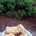 صورة من أميرة بأخلاقي، شاركها بعد تجربة وصفة مبروشه التمر