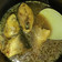 Cooksnap dari Devi Wulandari untuk resep Pallumara Ikan Bolu (Bandeng)