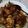 Cooksnap dari sherly oktaviani untuk resep Ayam Kecap Khas Palembang