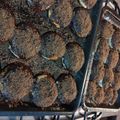 El cooksnap de mili platt cuando hizo Tortita negra.