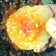 Cooksnap dari Ratna Puspitasari untuk resep Seblak coel babangi