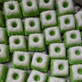 Cooksnap dari Linah Herlina untuk resep Putu Ayu Pelangi