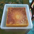 Cooksnap dari irwinda untuk resep Lapis legit susu 25 telur