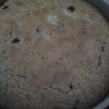 sanchr57's cooksnap of when they made Sweet Blueberry Cornbread.
